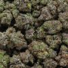 purple kush