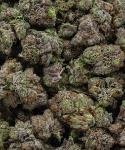 purple kush